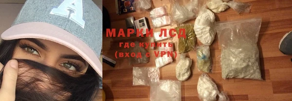 прущие грибы Аркадак