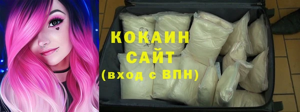 прущие грибы Аркадак