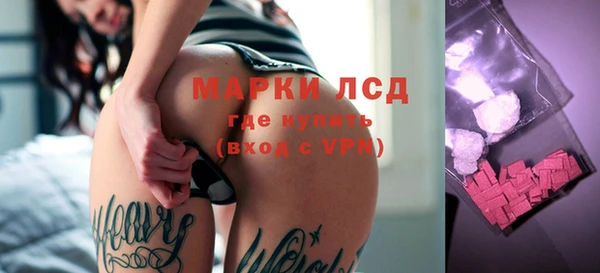 прущие грибы Аркадак