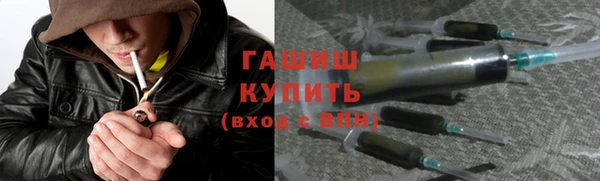 прущие грибы Аркадак