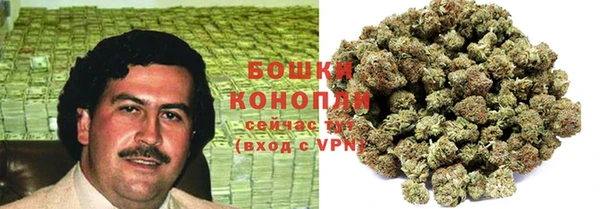 прущие грибы Аркадак