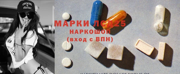 прущие грибы Аркадак