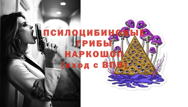 прущие грибы Аркадак