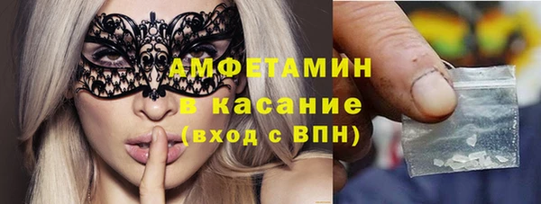 прущие грибы Аркадак