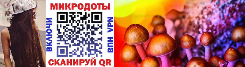 Галлюциногенные грибы мицелий  как найти наркотики  Темников 